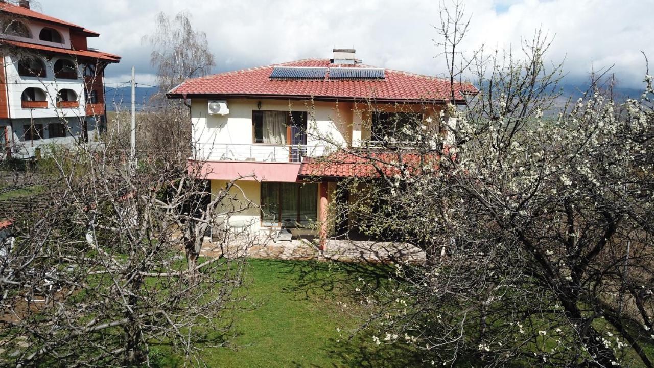 Kot Garden Guest House Szapareva Banja Kültér fotó