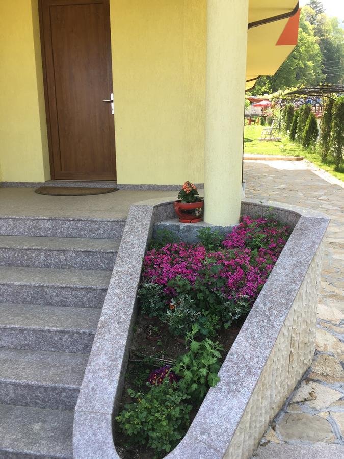 Kot Garden Guest House Szapareva Banja Kültér fotó